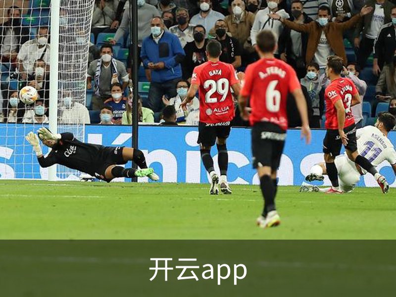 关于开云app